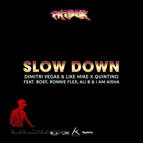 Dimitri Vegas & Like Mike & Quintino Ft. Ali B - Slow Down